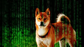 creepy doge