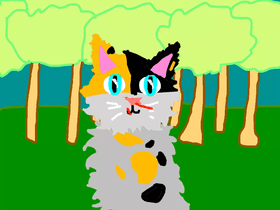 Warrior Cat Creator 