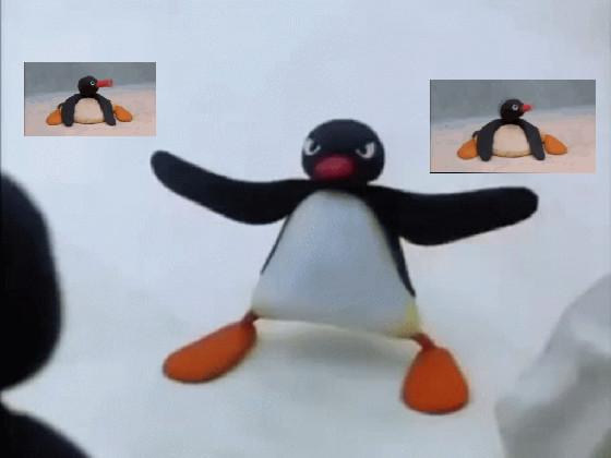 NOOT NOOT