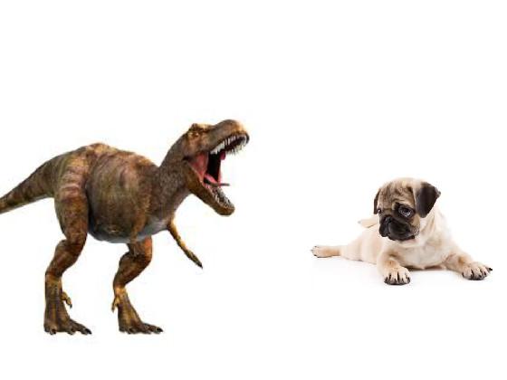 Trex vs puppy