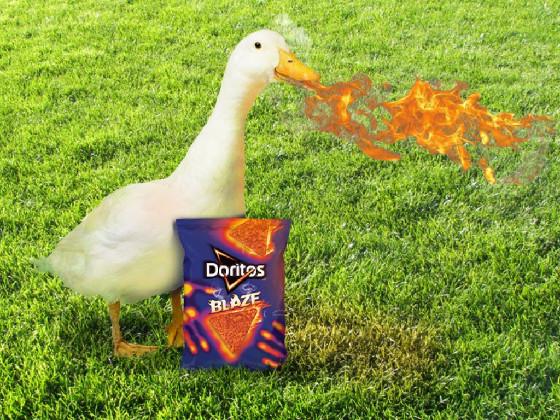 GOOSE IS DORITO!!!!!!!