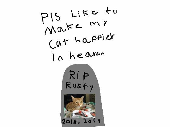 rip my cat