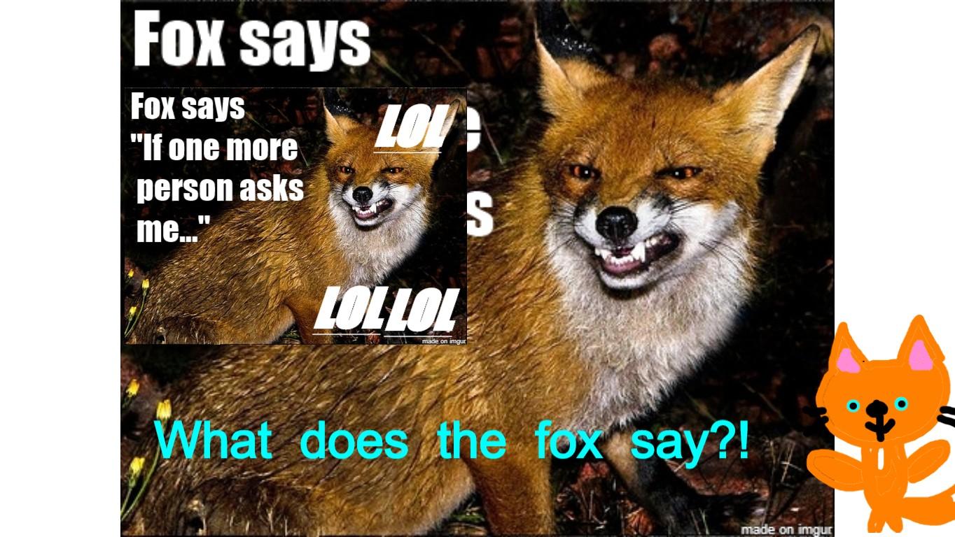 What Does The Fox Say!?!?