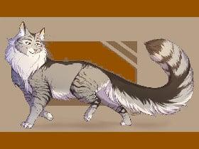 Graystripe