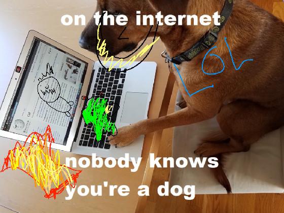 internet