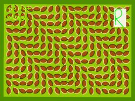 Beaned Optical Illusion 1