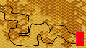 maze bee