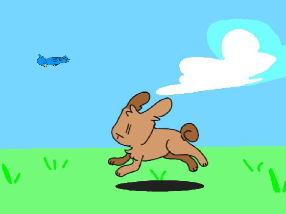 Bunny Run+Animation 1