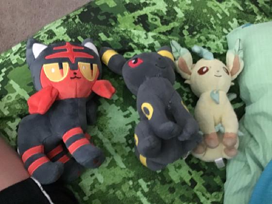 My Plushes