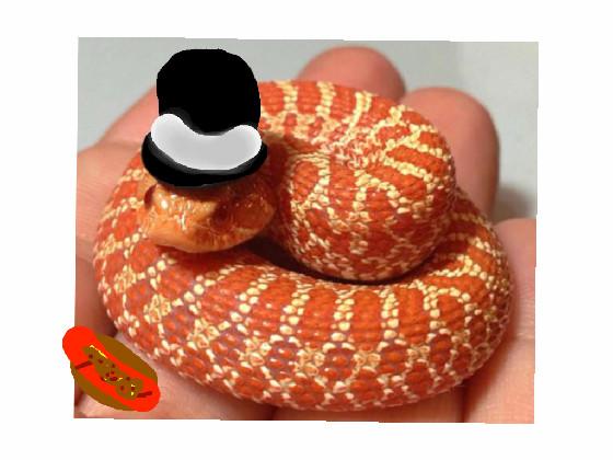 snake like hats and chilley dogs