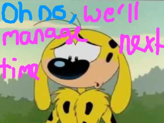 Save the Marsupilami!!!