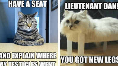 cat memes original xx 1 1