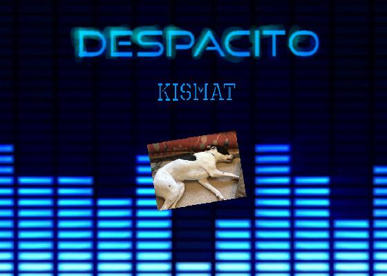 Despacito BEST SONG EVER 1