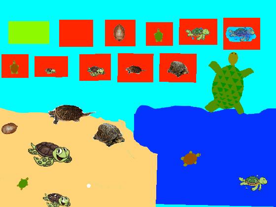 Turtle Clicker!  1