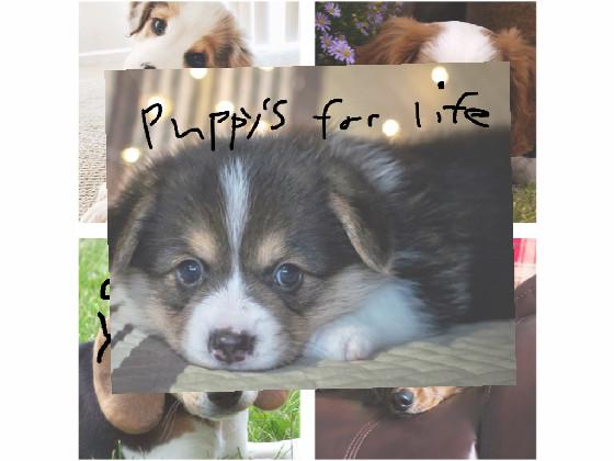 Puppy&#039;s for life!