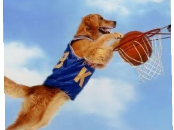 air bud