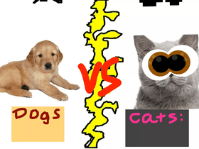 Dogs vs Cats!!🐈🐕