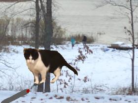 Marsh Cat Run