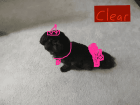 dress up the cute puppy 1 1