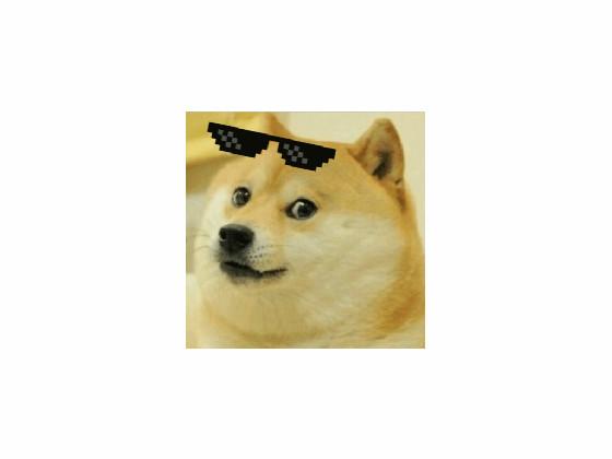 DOGE GIF 1