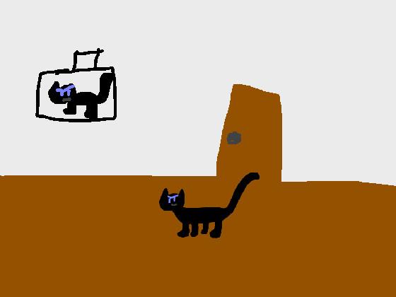 cat animation