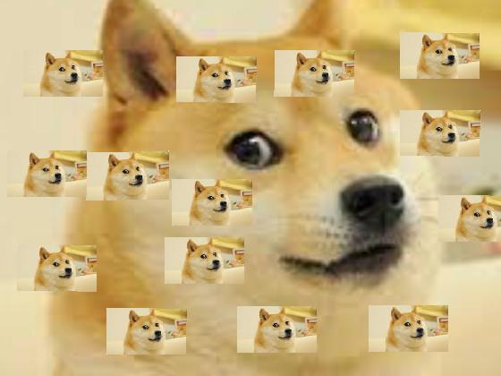 We will rock you doge