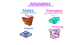 Adoptables