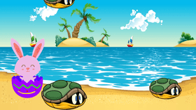 Turtle Rain