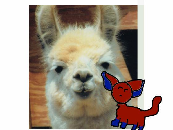 lol llama