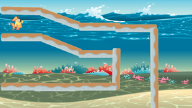 ocean