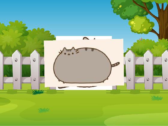 pusheen eats rice