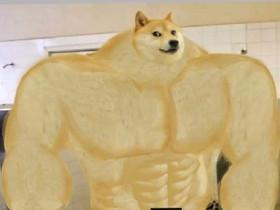 BUFF DOGE