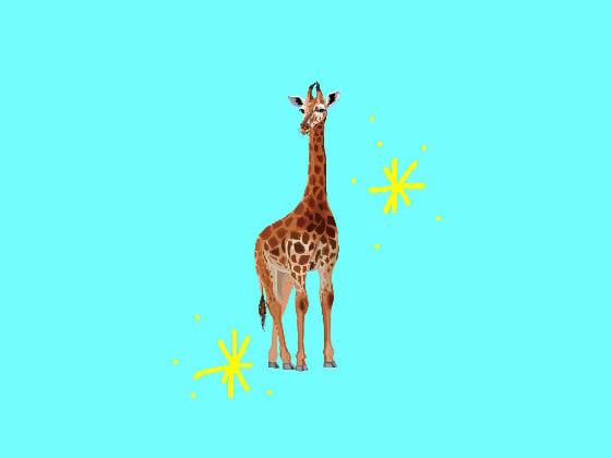  giraffe