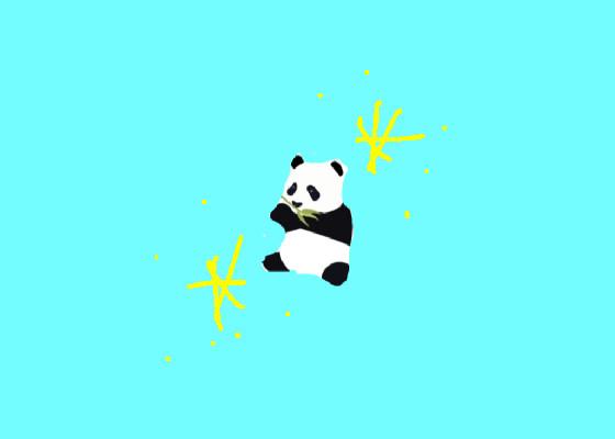 panda