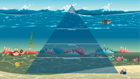 Ocean Ecological Pyramid