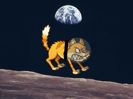 Hissy The Moon CAT