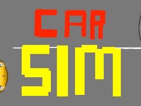 Car Sim RELEASED 2 1