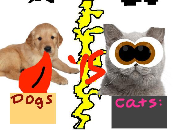 Dogs vs Cats!!🐈🐕 1