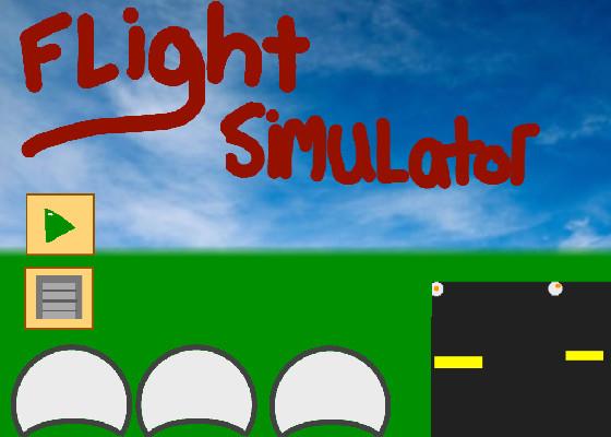 Flight Simulator 1