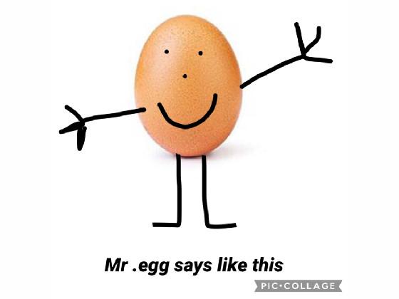 mr.egg