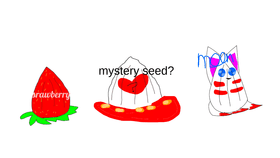 seed&#039;s !