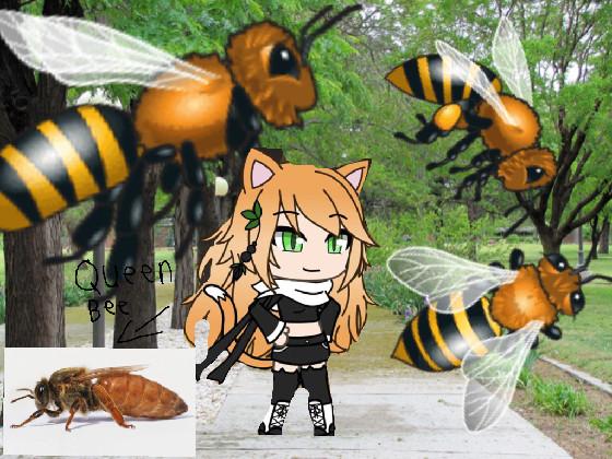 Facts about bees