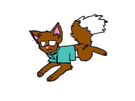 herobrine as a cat