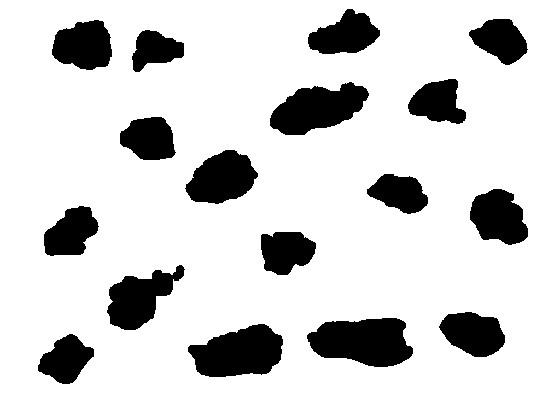 cow print