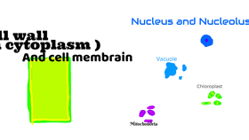 Parts of a plant cell