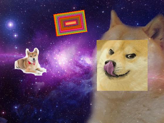 Boge Vs. Doge