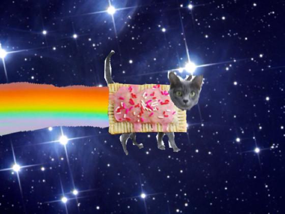 Real nyan cat 1