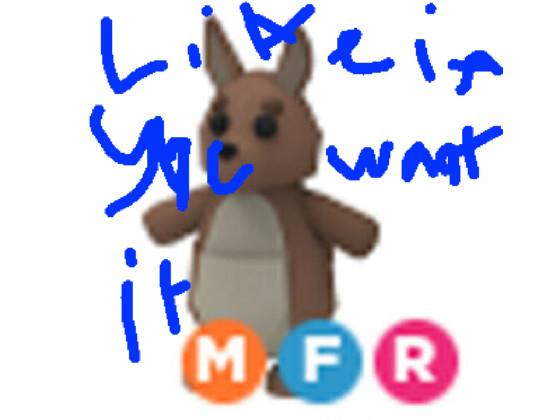 Mega Kangaroo Giveaway