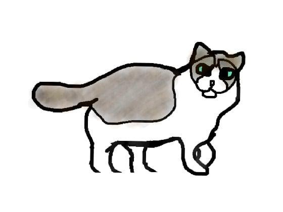 Ragdoll Breed Cat Art 1