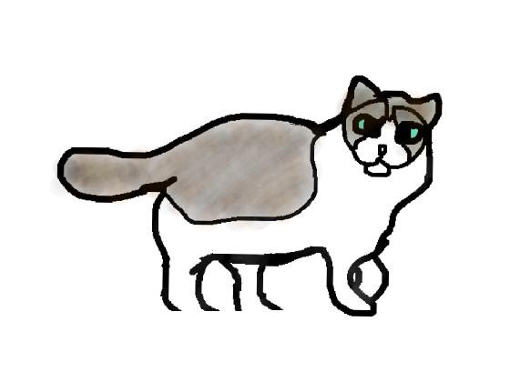 Ragdoll Breed Cat Art 1